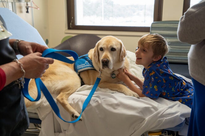 McLane Children’s – Pawsitive Pals